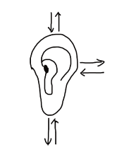 五官調気保健法