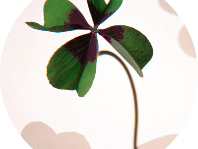 お問い合わせ お問い合わせ